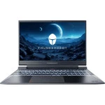 Ноутбук Thunderobot 911 X Wild Hunter G2D JT009A00KRU 15.6 ", FHD 1920x1080 (16:9), Core i5, 16 Гб
