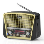 Портативная колонка Ritmix RPR-050 gold RPR-050-GOLD
