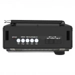 Портативная колонка Ritmix Радиоприемник портативный RPR-171