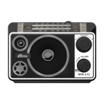 Портативная колонка Ritmix Радиоприемник портативный RPR-171