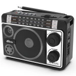 Портативная колонка Ritmix Радиоприемник портативный RPR-171