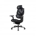 Компьютерное кресло ThunderX3 FLEX Pro-Mesh Black TEGC-3076101.12