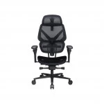 Компьютерное кресло ThunderX3 FLEX Pro-Mesh Black TEGC-3076101.12