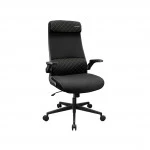 Компьютерный стул Cougar Stryder 3MSTDBLB.0001