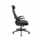 Компьютерный стул Cougar Stryder 3MSTDBLB.0001