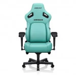 Компьютерное кресло AndaSeat Seat Kaiser 4 AD12YDDC-XLL-20-E-PV/C