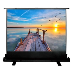 Проекционный экран Cactus 113x200см FloorExpert CS-PSFLE-200X113