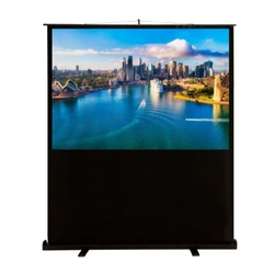 Проекционный экран Cactus Floor Compact Expert CS-PSFLCE-160X120 4:3