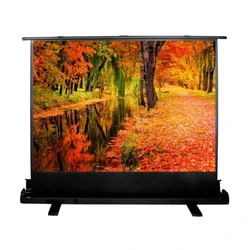 Проекционный экран Cactus Floor Expert CS-PSFLE-200X150 4:3
