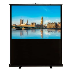 Проекционный экран Cactus Floor Compact Expert CS-PSFLCE-120X68