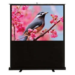 Проекционный экран Cactus Floor Compact Expert CS-PSFLCE-120X90