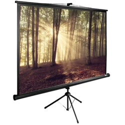 Проекционный экран Cactus TriExpert 4:3 CS-PSTE-180X135-BK