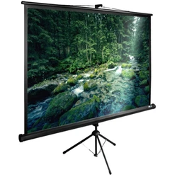 Проекционный экран Cactus TriExpert CS-PSTE-220x165-BK CS-PSTE-220X165-BK