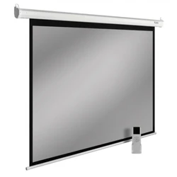 Проекционный экран Cactus CS-PSSME-220X138-WT
