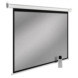 Проекционный экран Cactus SIlverMotoExpert CS-PSSME-240X150-WT