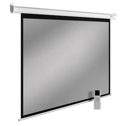 Проекционный экран Cactus SIlverMotoExpert CS-PSSME-300X188-WT