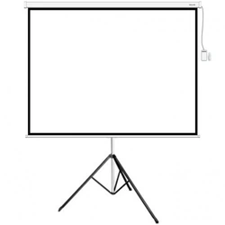 Проекционный экран Deluxe Экран на треноге DLS-T244x183W