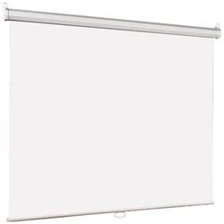 Проекционный экран Lumien Eco Picture LEP-100113