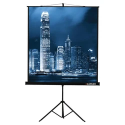 Проекционный экран Lumien Master View (203х203) LMV-100109