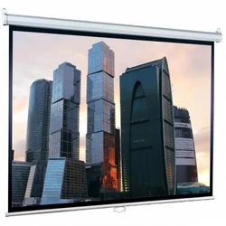 Проекционный экран Lumien Eco Picture LEP-100117