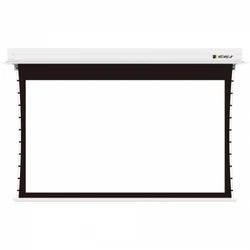Проекционный экран Digis DSIT-16910