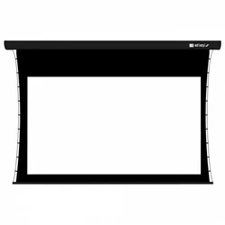 Проекционный экран Digis TAB-TENSION X-TENSION DSTPX-16913