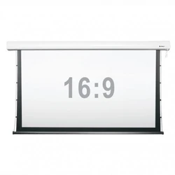 Проекционный экран Digis DSTP-16911
