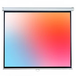 Проекционный экран Lumien LEP-100112