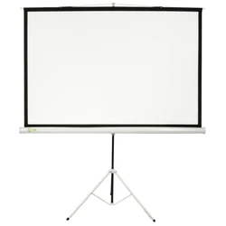 Экран Cactus Triscreen CS-PST-180x180 CS-PST-180X180