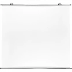 Экран Cactus CS-PSRM-150X150-BK