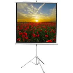 Проекционный экран Digis Kontur-D DSKD-1103