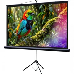 Проекционный экран Lumien Eco Picture LEV-100114