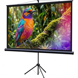 Проекционный экран Lumien Eco Picture LEV-100115