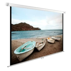 Проекционный экран Cactus CS-PSWE-200X125-WT