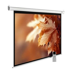 Проекционный экран Cactus CS-PSME-280X175-WT