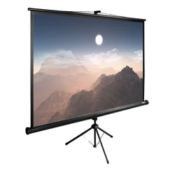 Проекционный экран Cactus CS-PSTE-180X180-BK