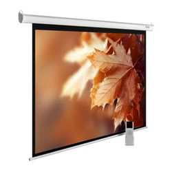 Проекционный экран Cactus CS-PSME-300X188-WT