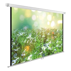 Проекционный экран Cactus CS-PSWE-200X200-WT