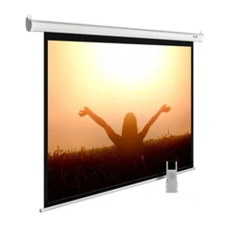 Проекционный экран Cactus CS-PSME-220X165-WT