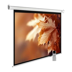 Проекционный экран Cactus CS-PSME-300X300-WT