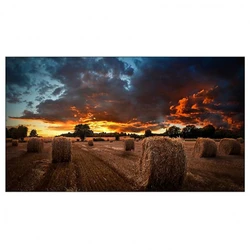 LED / LCD панель Samsung VM46B-U 46 "