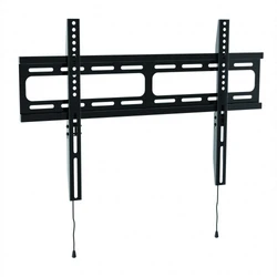 Опция к профессиональным панелям Wize WF55