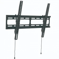 Опция к профессиональным панелям Wize WT55