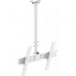 Опция к телевизору Holder PR-101-W