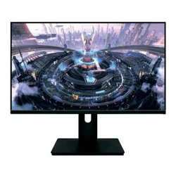 Монитор Aiwa MF2409 (24.5 ", IPS, Full HD 1920x1080 (16:9), 100 Гц)