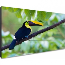 LED / LCD панель Exell EXPD-WA55AB15 55 "