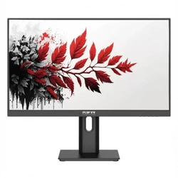 Монитор RDW Computers 2701K 2701K/F05B0120V2A1 27 ", IPS, Full HD 1920x1080 (16:9), 120 Гц