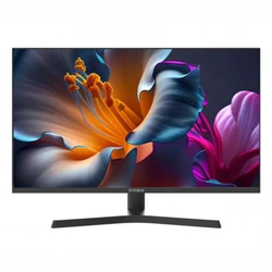 Монитор Irbis MIR VIEW R27QIDR123_MIR 27 ", IPS, Quad HD 2560x1440 (16:9), 100 Гц