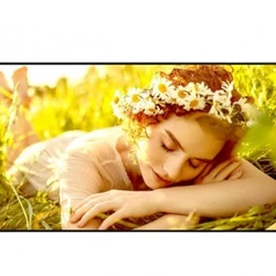 LED / LCD панель LG 75UL5Q-M 75 "