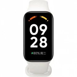 Xiaomi Smart Band 2 BHR6923GL